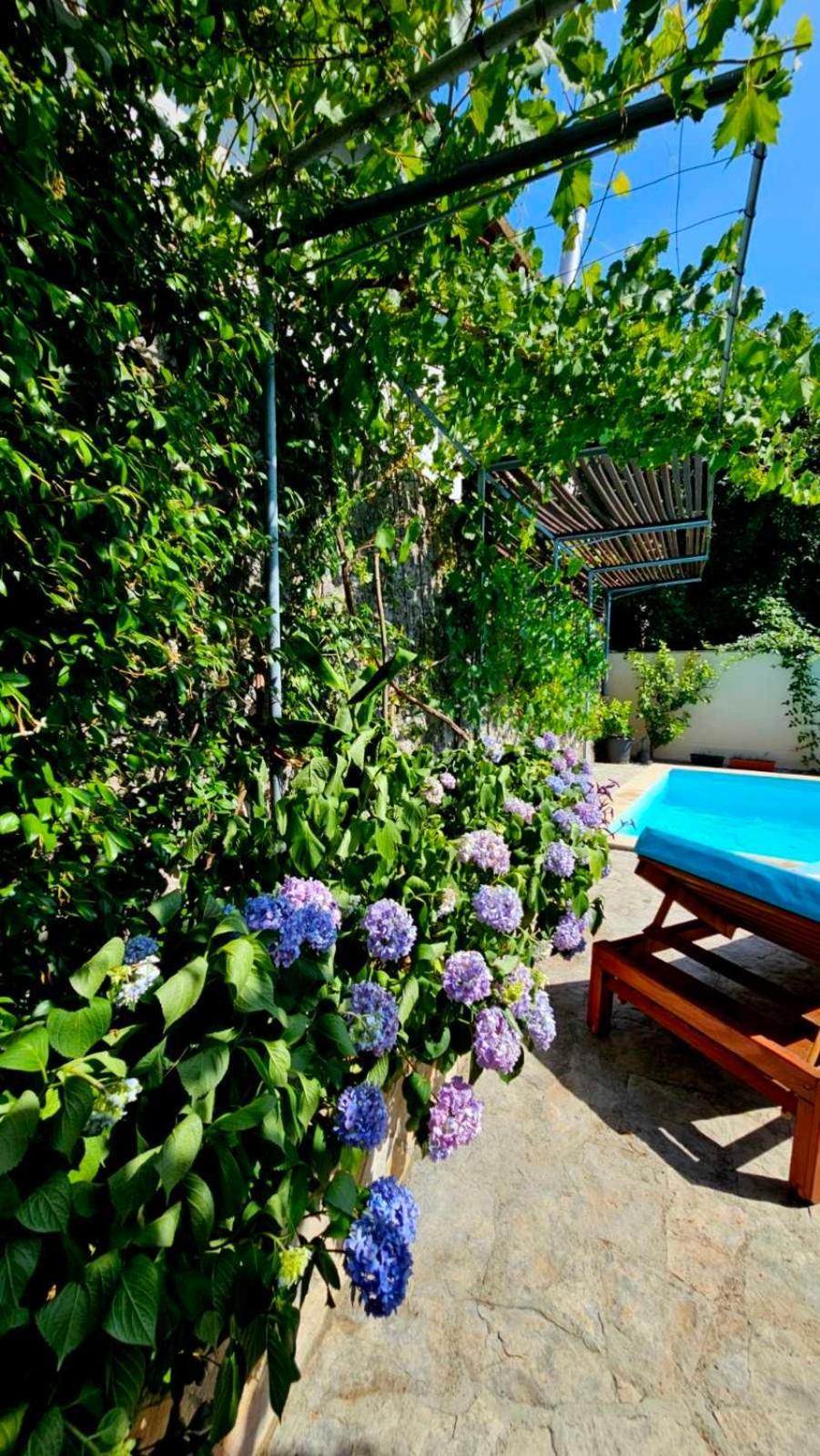 Lovely House With Swimming Pool โมสตาร์ ภายนอก รูปภาพ